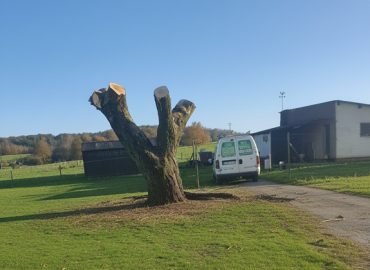 elagage-ardennes
