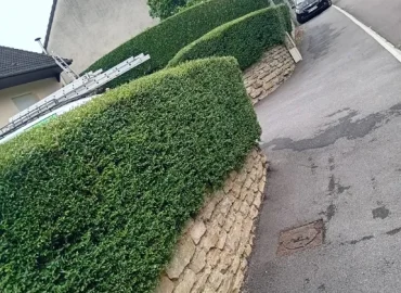 taille-haie-rethel